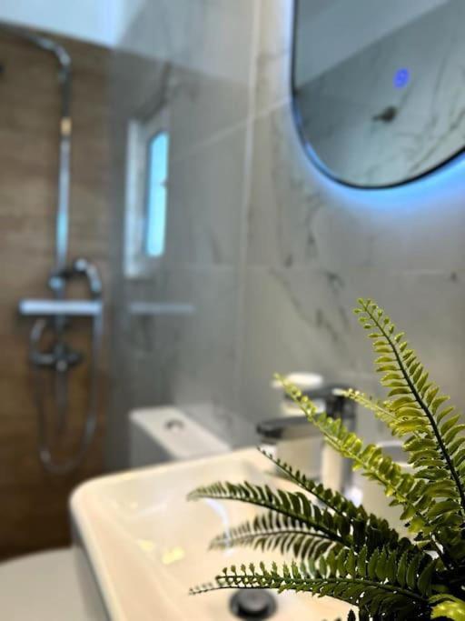 Apartamento Exquisite Penthouse With Breathtaking Acropolis Panorama View Atenas Exterior foto